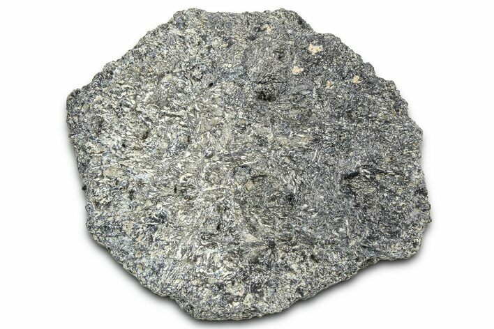 Fossil Glyptodont (Glyptotherium) Bony Armor Osteoderm - Florida #362338